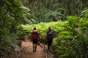 Kilimanjaro to Machame