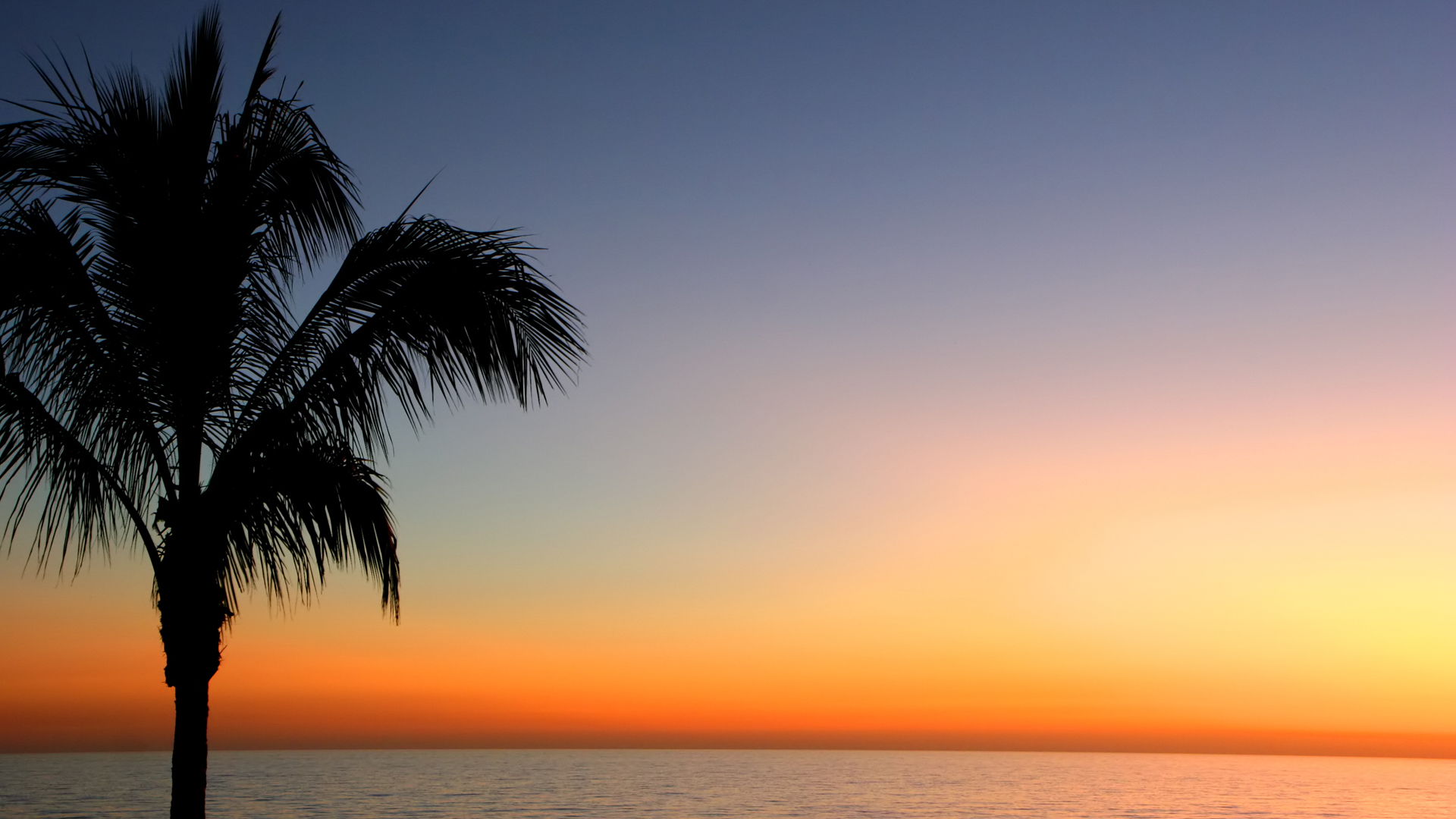 Palm Beach