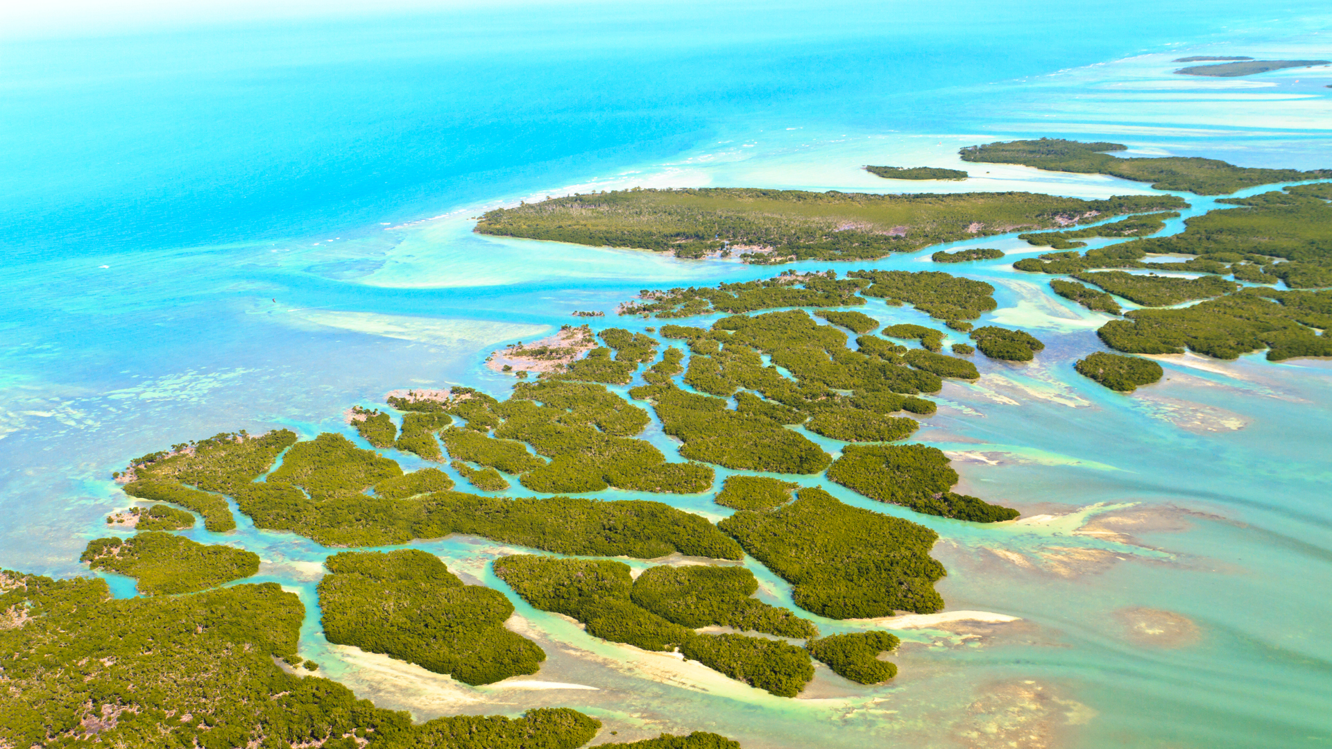Florida Keys